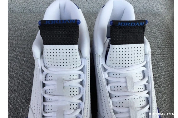 Air 14’Hyper AJ-14 Jordan Royal’ 0309